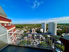 Luz - Vistas - Amplitud - Amenities - Ubicación