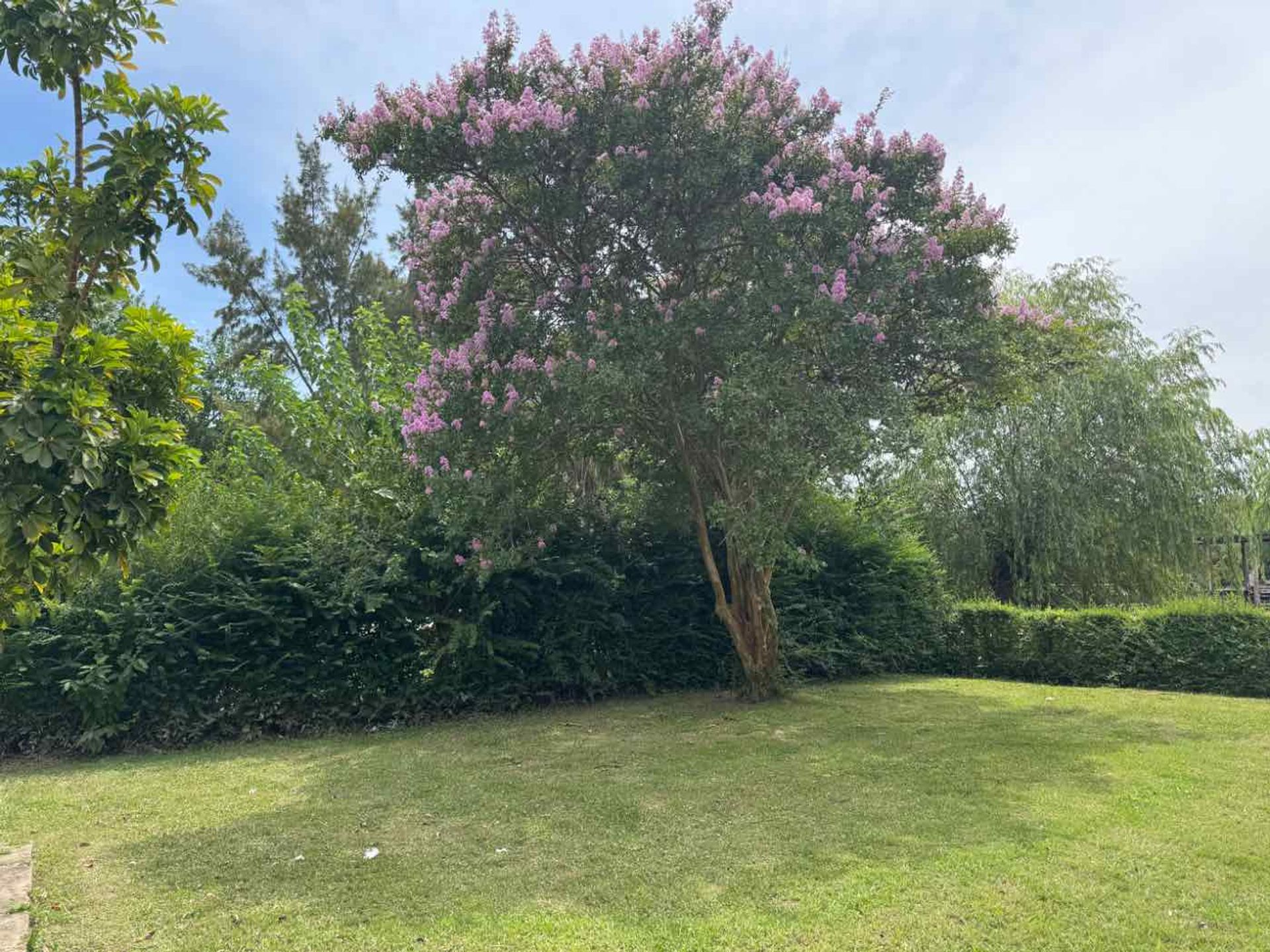 Casa en venta sobre el Rio Sarmiento Delta