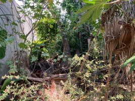 FOR SALE LOT 300 m² IN SAN ISIDRO CHICO