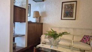 Casa Doble en Villa Adelina cochera y parrilla