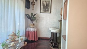 Casa Doble en Villa Adelina cochera y parrilla