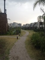 Alquiler Duplex 3 Amb En Lago Del Sendero Nordelta