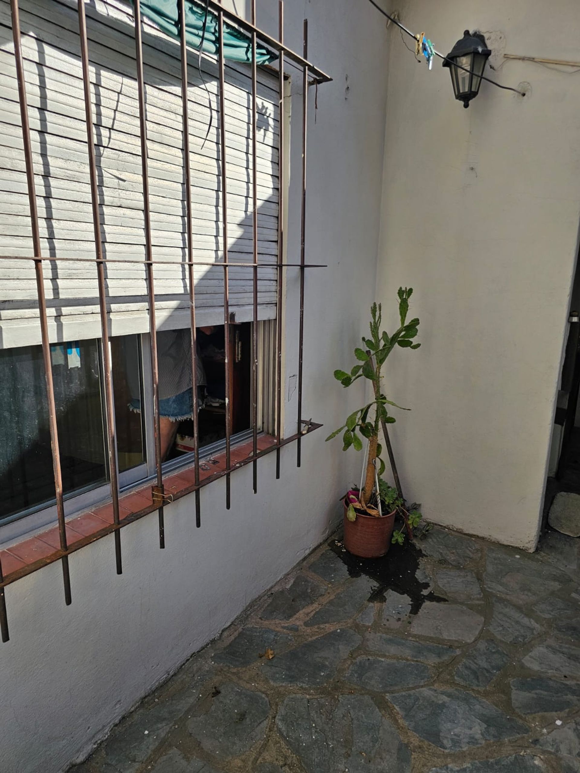 Ph Planta Baja 2 Amb Villa Adelina