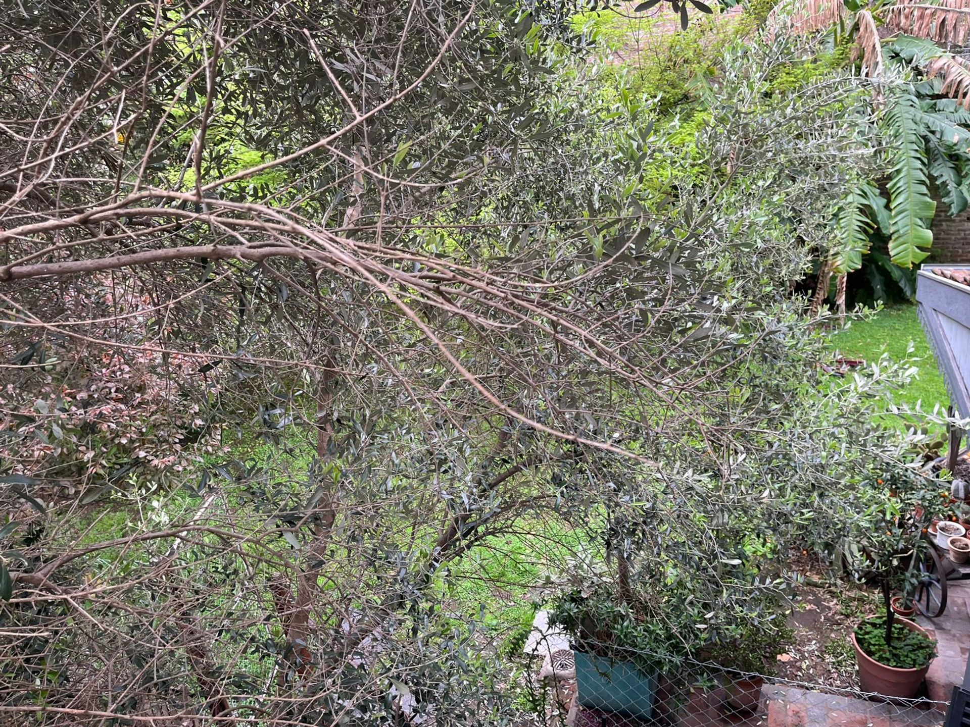 Terreno en venta en Olivos con pileta