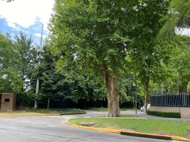 Lot Sale Closed Neighborhood Lomas San Isidro