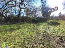 Benavidez Lot Sale