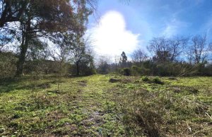Benavidez Lot Sale