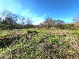 Benavidez Lot Sale