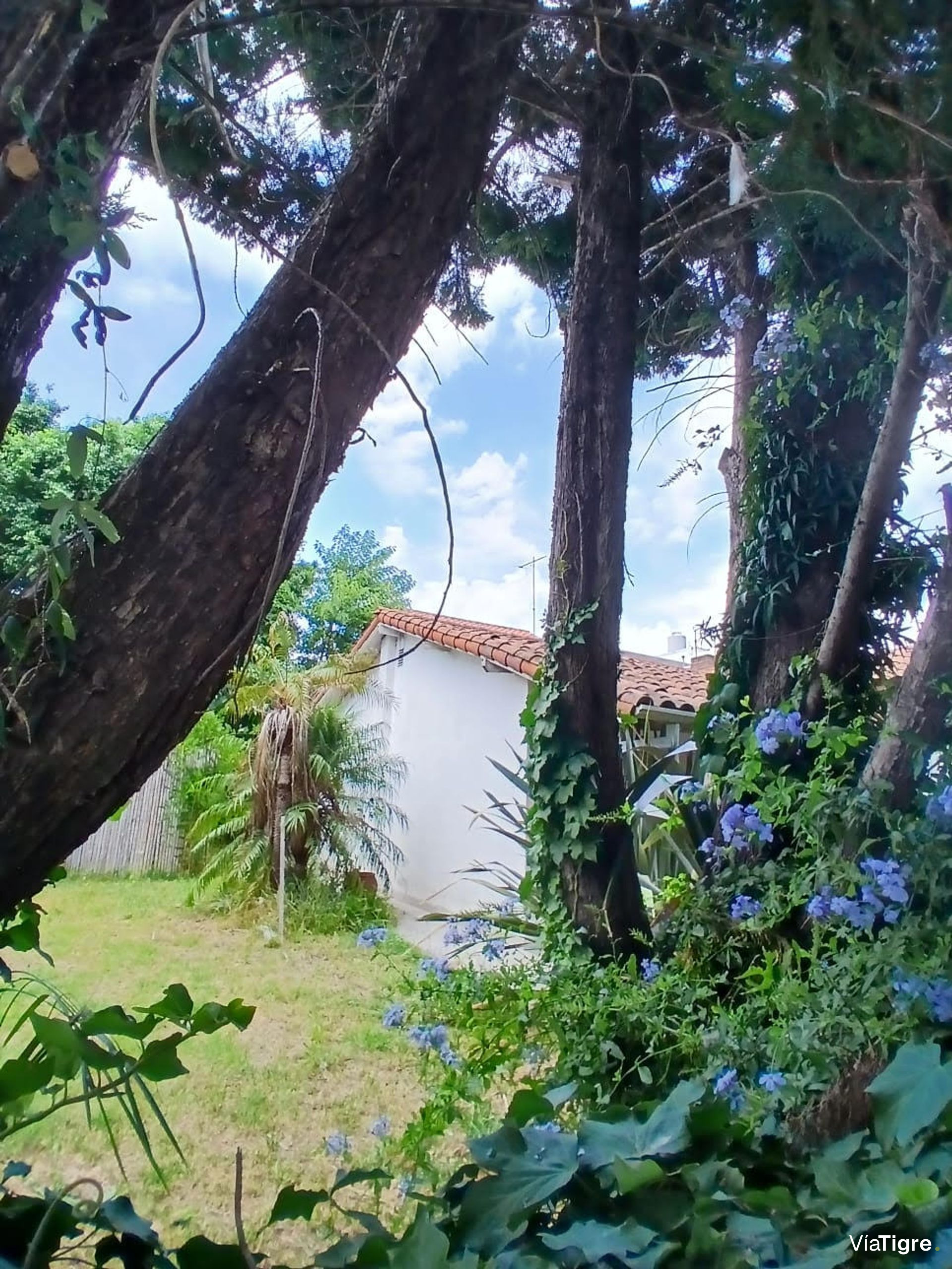 Oportunidad , dos casas a refaccionar.San Isidro.
