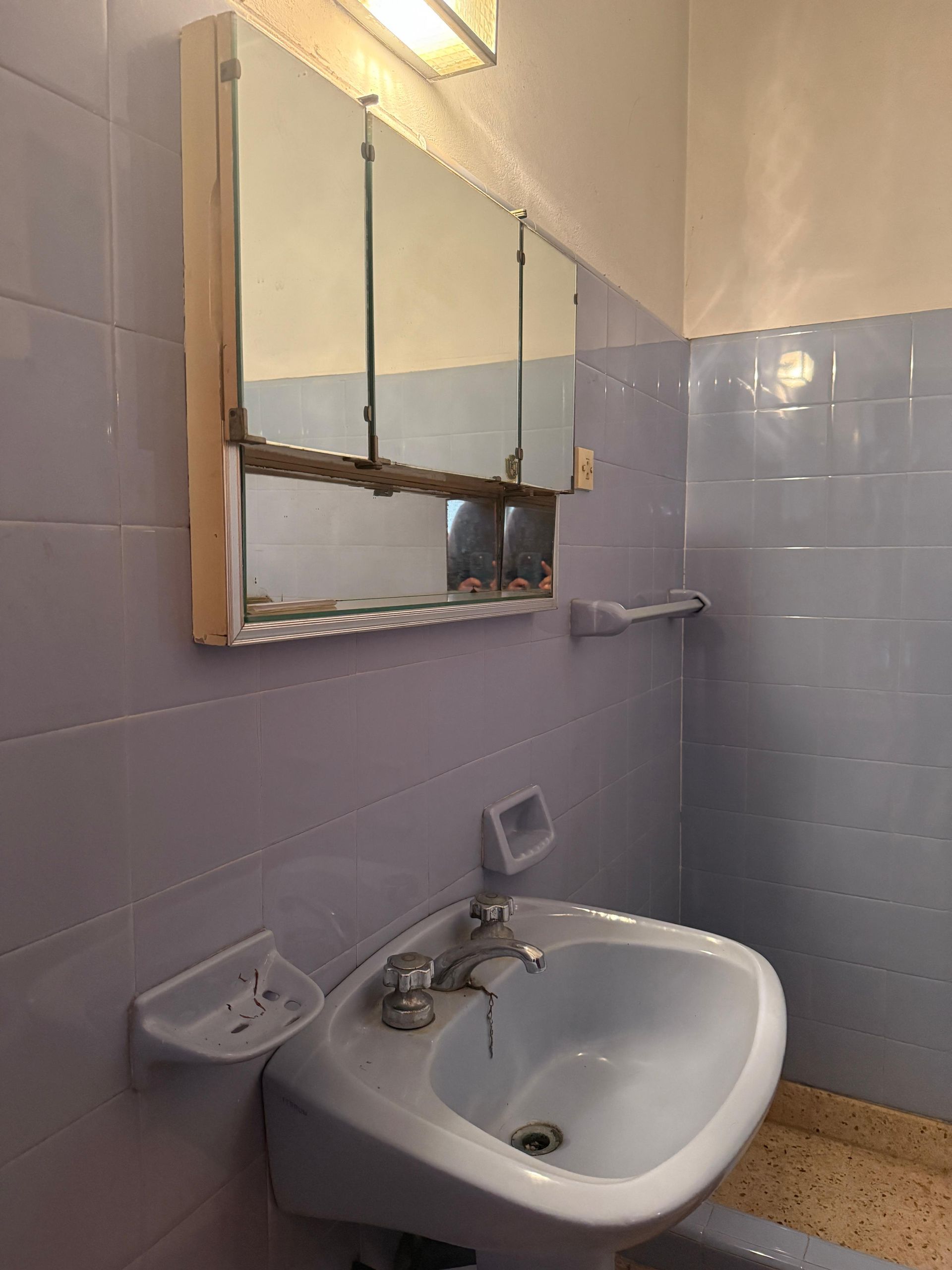 Casa venta + PH en Villa Martelli