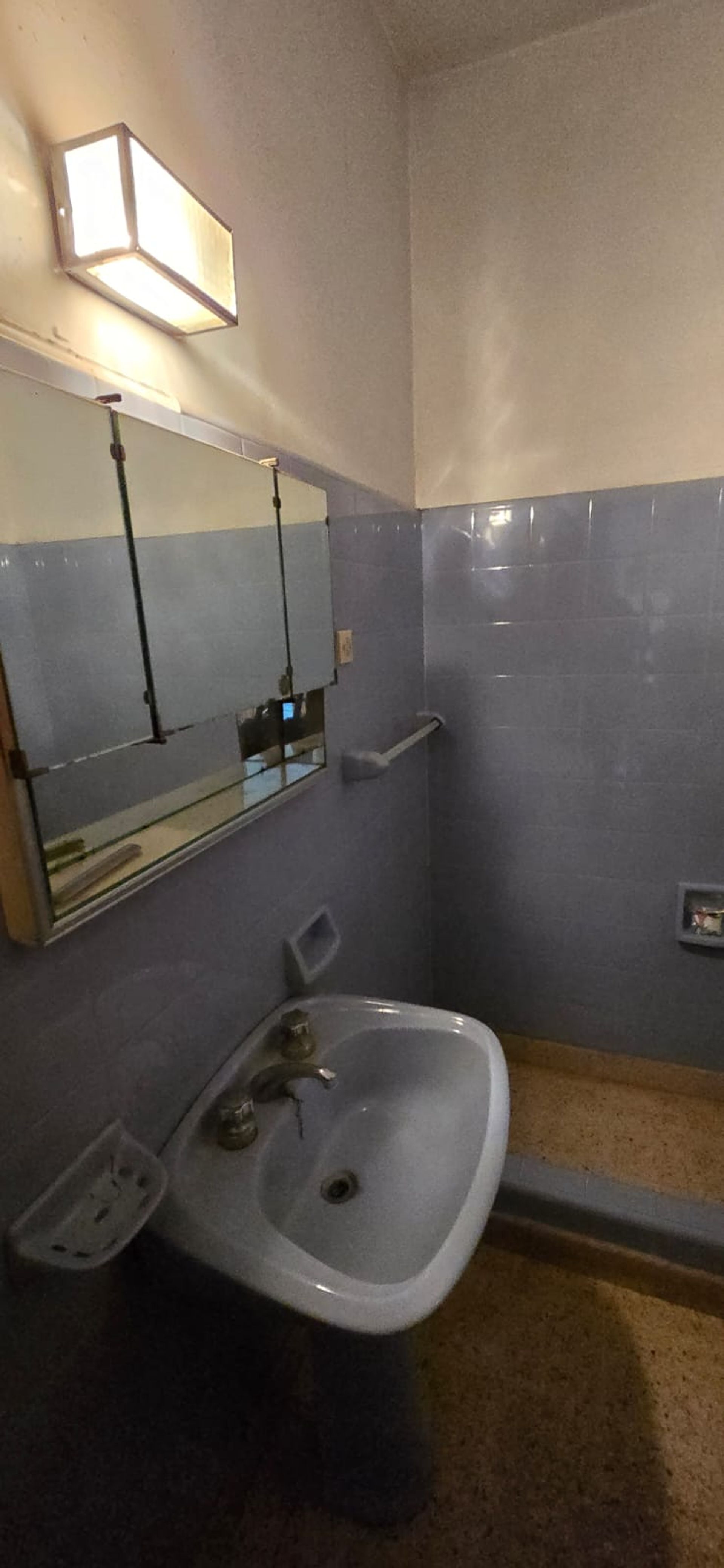 Casa venta + PH en Villa Martelli