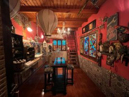 Venta Galpón comercial, vivienda y pileta