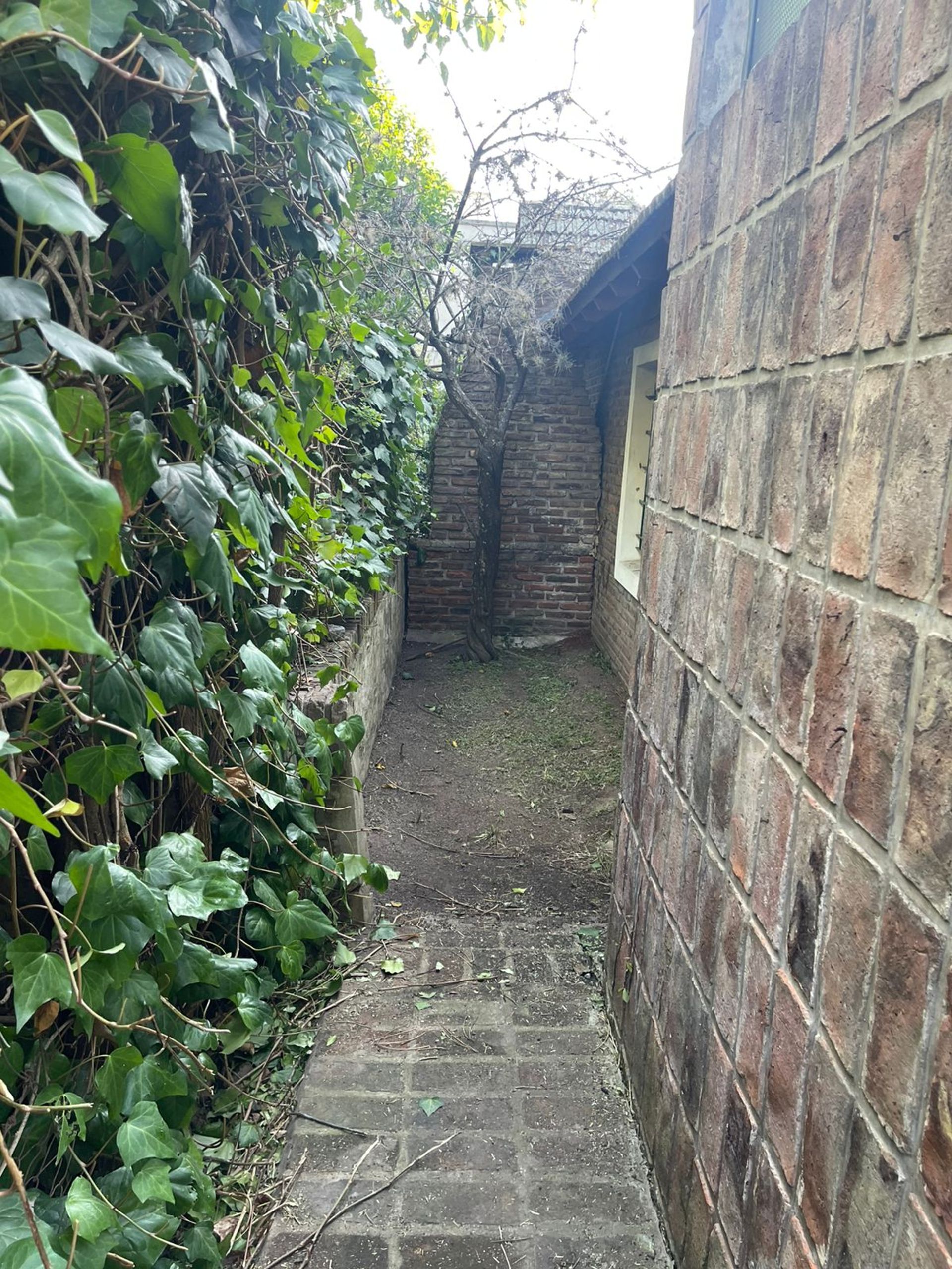 Alquiler casa con parque y pileta