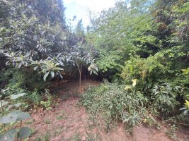 Land Plot For Sale Don Torcuato Tigre Opportunity