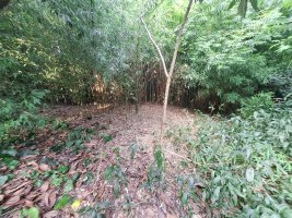 Land Plot For Sale Don Torcuato Tigre Opportunity