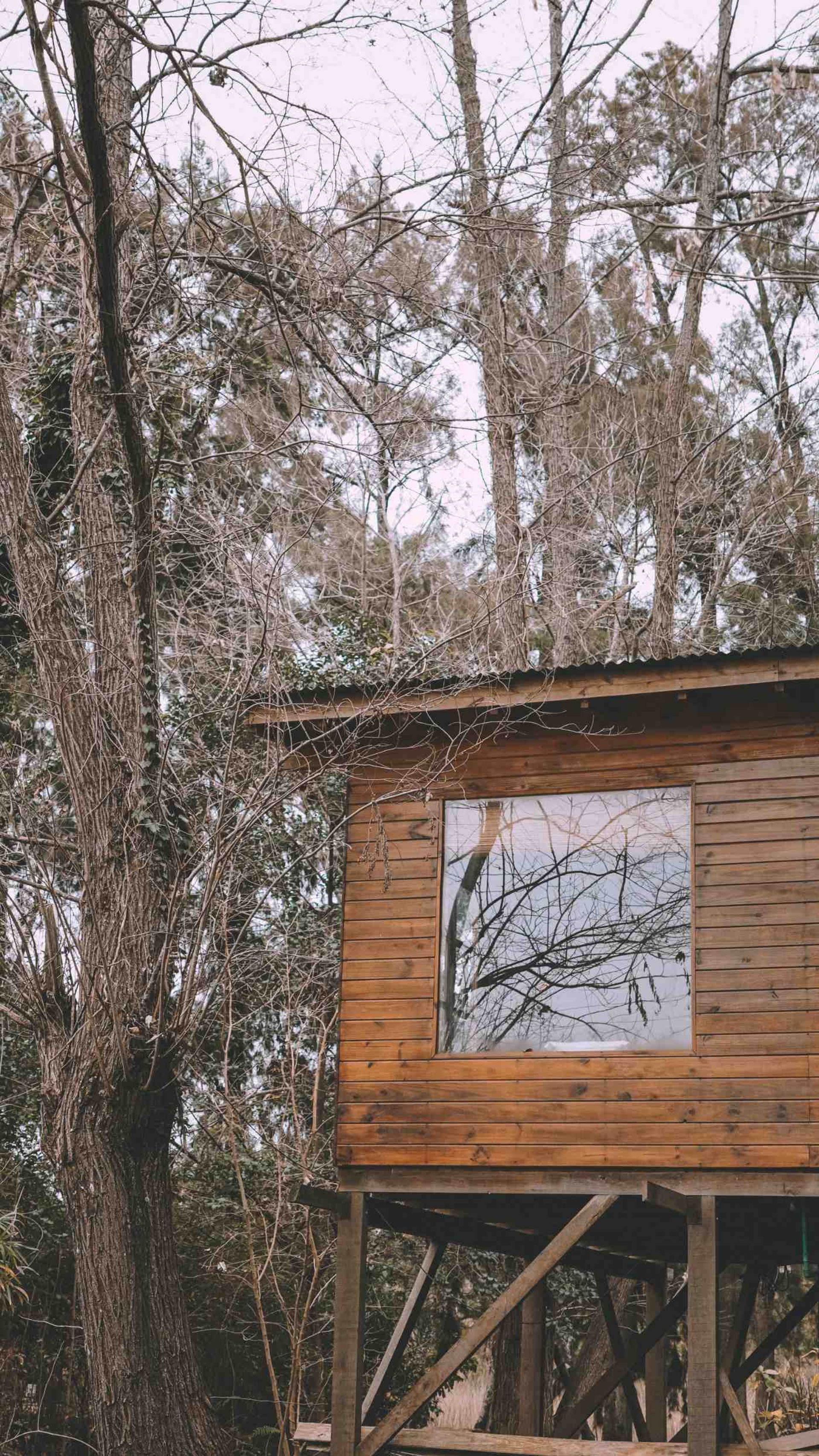 Venta Cabaña – Arroyo Caraguatá – DELTA