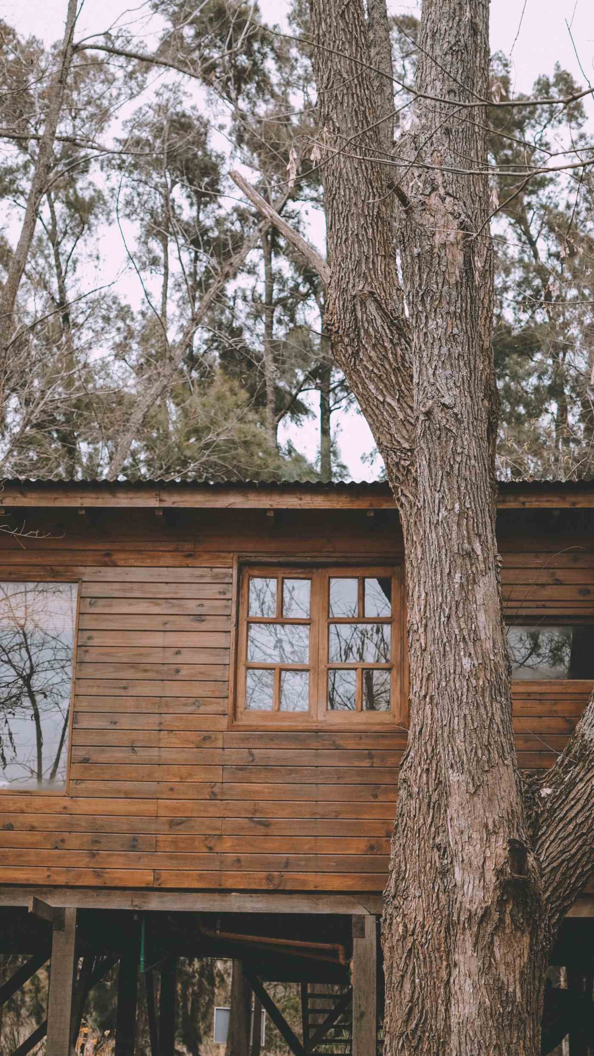 Venta Cabaña – Arroyo Caraguatá – DELTA