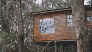 Cabin – Arroyo Caraguatá – First Section DELTA