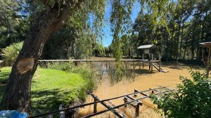 VENTA Cabaña en Islas del Paraná - Rio Carapachay