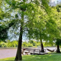 Sale House in Delta Tigre - Tourist Potential