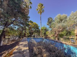 Incredible Lot in Don Torcuato