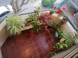 For Sale 3‑bedroom Duplex with quincho and terrace La Lucila
