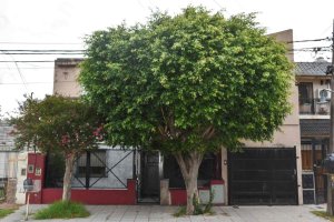 Sale Two Houses In V. Adelina 4‑bedroom