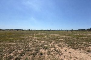 Sale Lot in Barrio Silvestre Nordelta