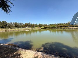 Sale Lot in Barrio Silvestre Nordelta