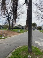 Venta Lote 383 M2 Lomas De San Isidro Claridad 2.