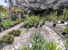 VENTA lote 2400M2 MARTINEZ