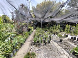 VENTA lote 2400M2 MARTINEZ