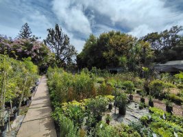 VENTA lote 2400M2 MARTINEZ