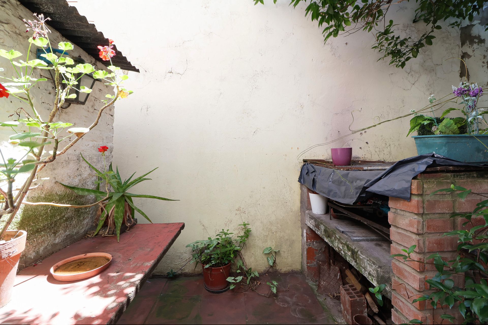 PH 3 amb con jardin y patio - Olivos Roche