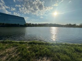 Lote al agua en Barrio Silvestre, Nordelta, Tigre