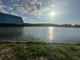 Lote al agua en Barrio Silvestre, Nordelta, Tigre