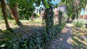 Venta Lote 4000 m2 Boulogne