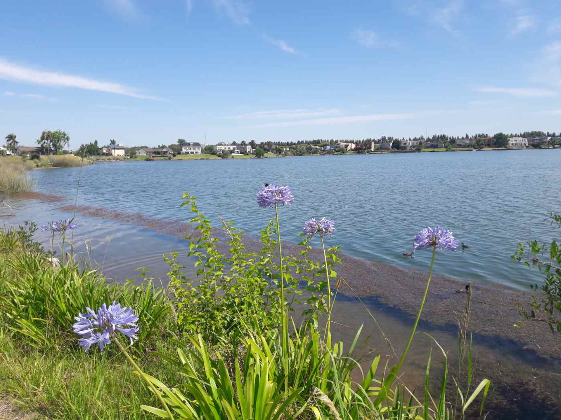 Departamento Venta 2 AMB Vista Al Agua VILA VELA