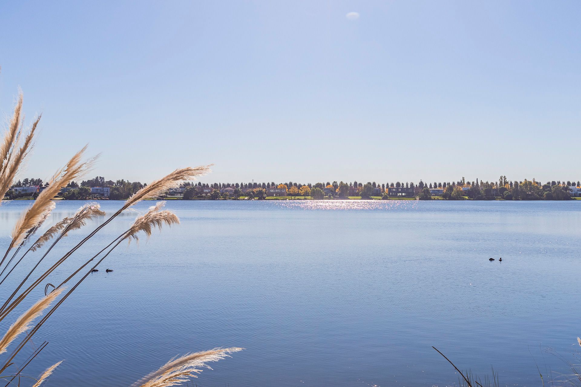 Departamento Venta 2 AMB Vista Al Agua VILA VELA