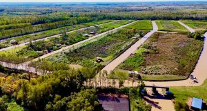 Lot in Nautico Albardon neighborhood facing Escobar