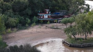 Gran Isla 40 Hectareas Delta