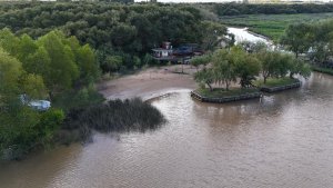 Gran Isla 40 Hectareas Delta