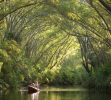 Gran Isla 40 Hectareas Delta