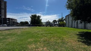 Sale of Lot in Tigre - Puerto De Frutos