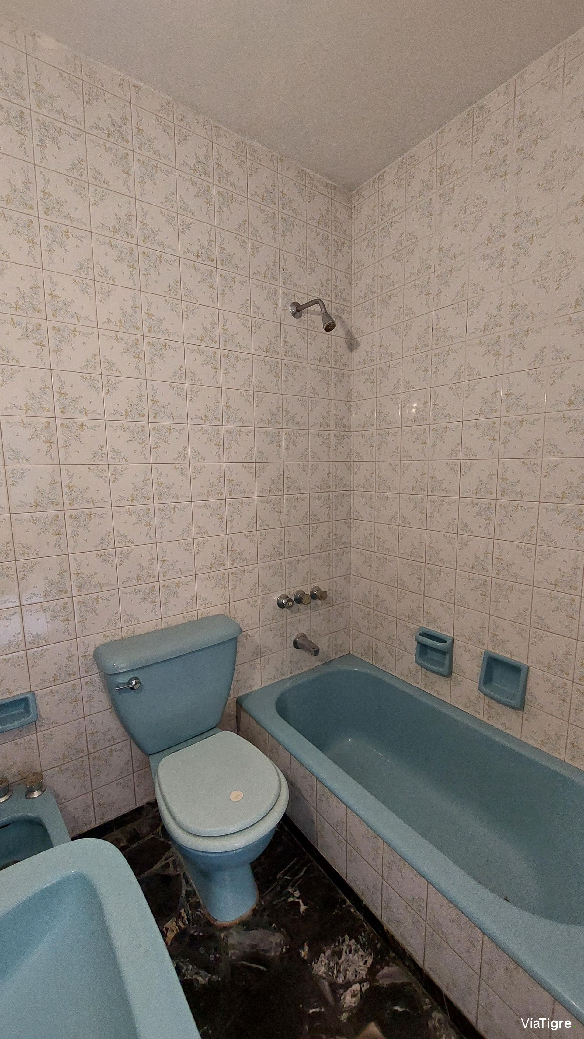 Alquiler Casa Gran Lote Con Jardin - Florida