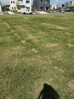 Selling lot in Santa Ana Benavidez Tigre Villanueva