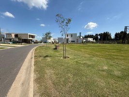 Selling lot in Santa Ana Benavidez Tigre Villanueva