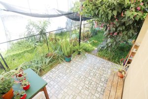 Sale House Own Lot in Munro, Apartment Credit