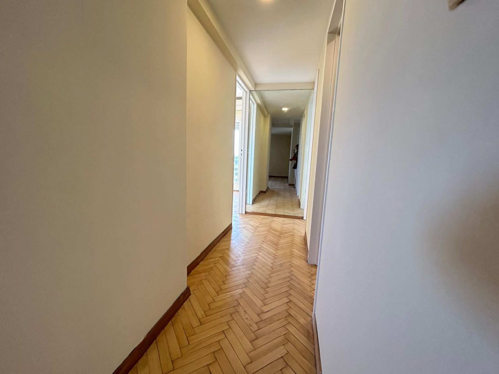 Venta 3 amb Vicente López balcón y Baulera