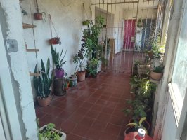 for sale apartment 2-bedroom TALAR